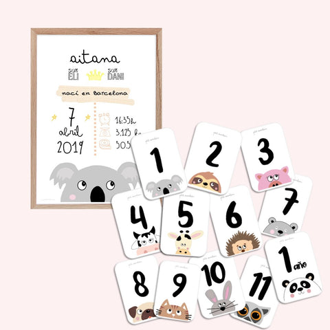 Pack ahorro lámina + tarjetas: Mix Animales