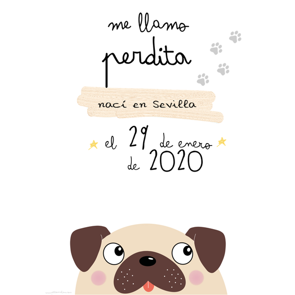 Lámina perrito pug