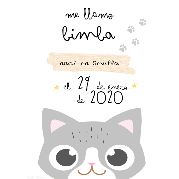 Lámina gatito